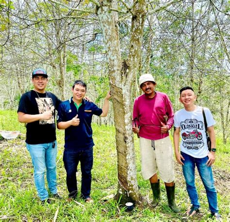 Pt bintang borneo persada  Ketahui mengapa PT